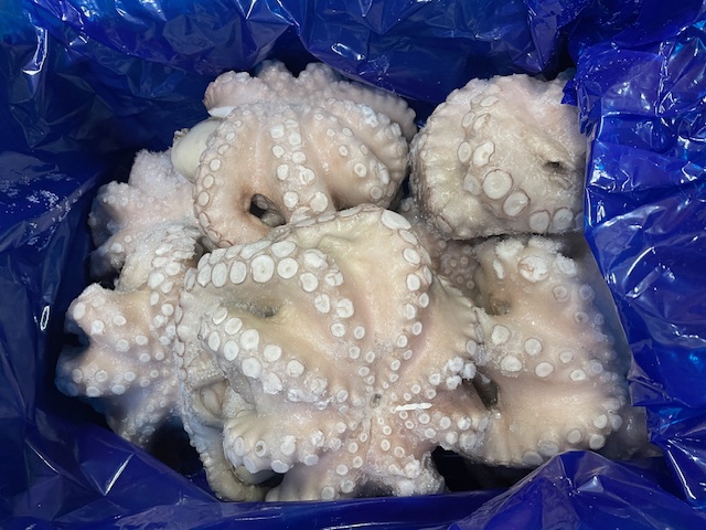 POLPO FAO34 KG.1,5-2 T4 IQF P.NETTO - 