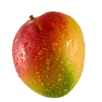 MANGO - 