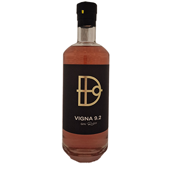 GIN ROSSO VIGNA 9.2 CL.70 42% - 