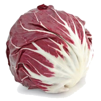 INSALATA CHIOGGIA - 