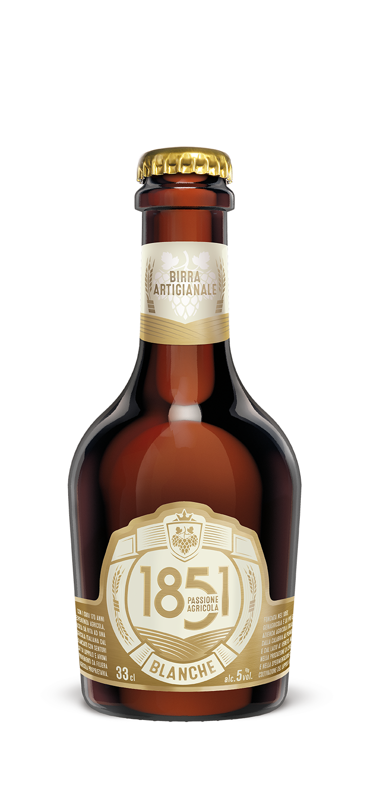 BIRRA BLONDE CL.33 (X12) - 