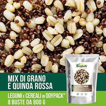 MIX DI GRANO E QUINOA ROSSA BONDUELLE AMBIENT GR.800 DOYPACK - Bonduelle