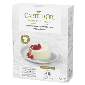 PANNA COTTA CARTE D'OR PROFESSIONAL 520GR GLUTEN FREE - 