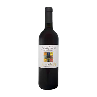 PINOT NERO BIANCO FRIZZANTE SANSALUTO CL.75 - 