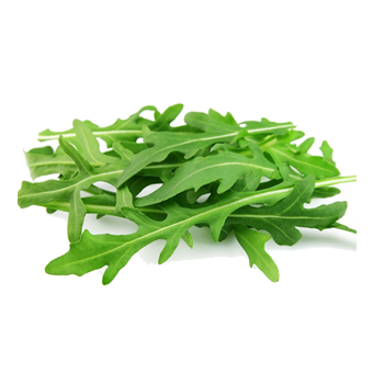 RUCOLA GR.100 - 