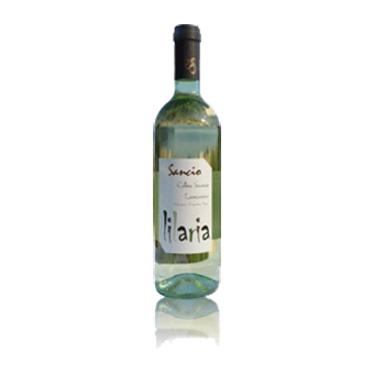 LILARIA SANCIO VINO BIANCO FRIZZANTE CL.75 - 