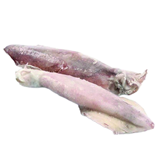 CALAMARI PATAGONIA C4 LL KG.5 C.A PESO NETTO - 
