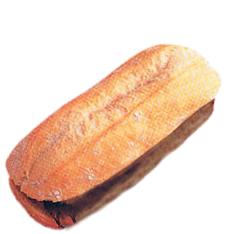 CIABATTA RUSTICA PRETAG.GR.100 - 