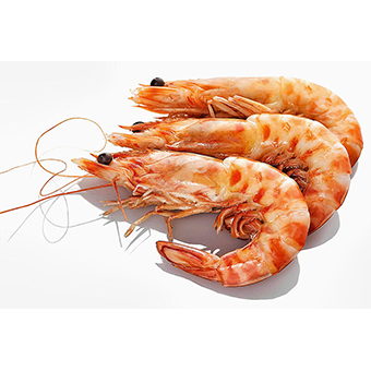 GAMBERI L1 "ARBUMASA" ARGENTINA 10/20 KG.2 - 