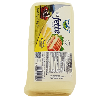 FETTE DI FORMAGGIO (GR.20 CAD.) KG.1 - 