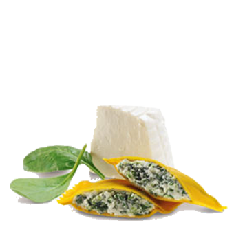 RAVIOLI RICOTTA/SPINACI PRECOTTI KG.1 - Surgital