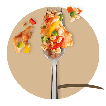 TAGLIATA DI POLLO CON ORZO E VERDURE GR.330 (x4 min.) - 