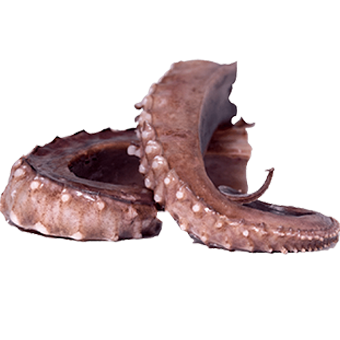 TENTACOLI DI TOTANO IQF L (KG.8 P.N.) - 