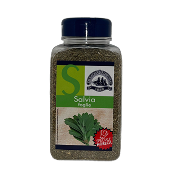 SPEZIE: SALVIA FOGLIE GR.135 - 