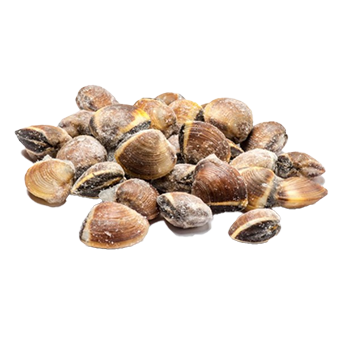 VONGOLE DEL PACIFICO C/GUSCIO MARRONE KG.1 (CT=10 CF) - 