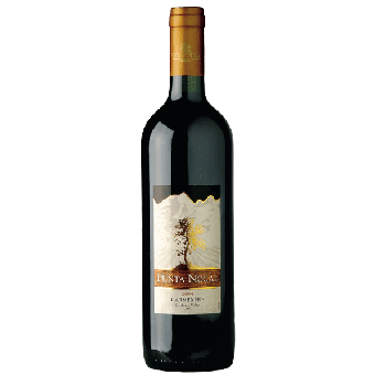 PUNTA NOGAL CARMENERE CL.75 - 