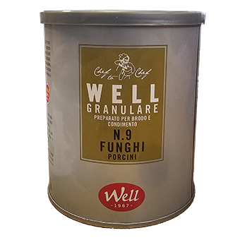 BRODO AI FUNGHI PORCINI GR.500WELL - 